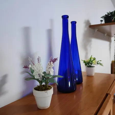 Casa Ruth Centro Orotava Апартаменты Ля Оротава