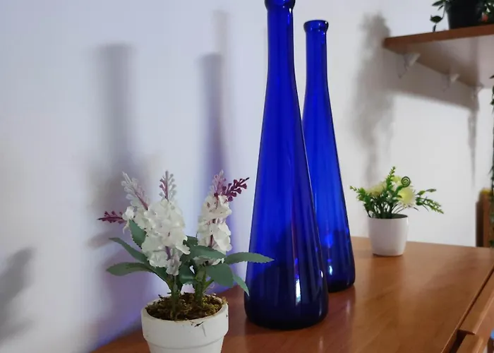 Casa Ruth Centro Orotava 公寓 拉奥罗塔瓦